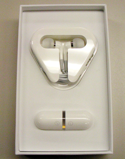 Apple In-Ear Headphones with Remote and Mic