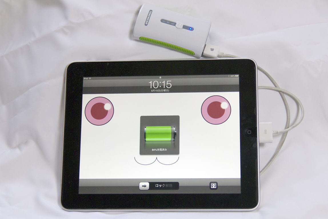 iPod Style - ( TUNEWEAR TUNEMAX 2 PORT USB BATTERY )